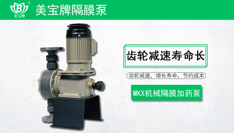 机械隔膜计量泵MKX系列